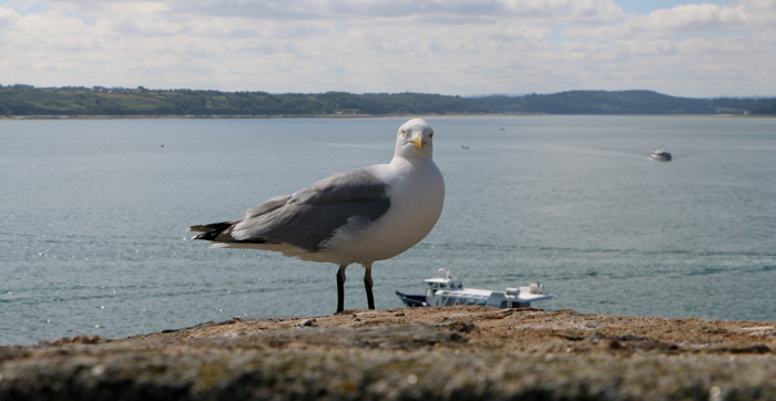 jour_12_vadrouille_bretagne_nadoo