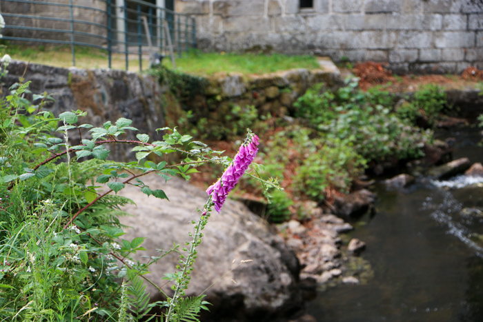 jour_25_vadrouille_bretagne_nadoo