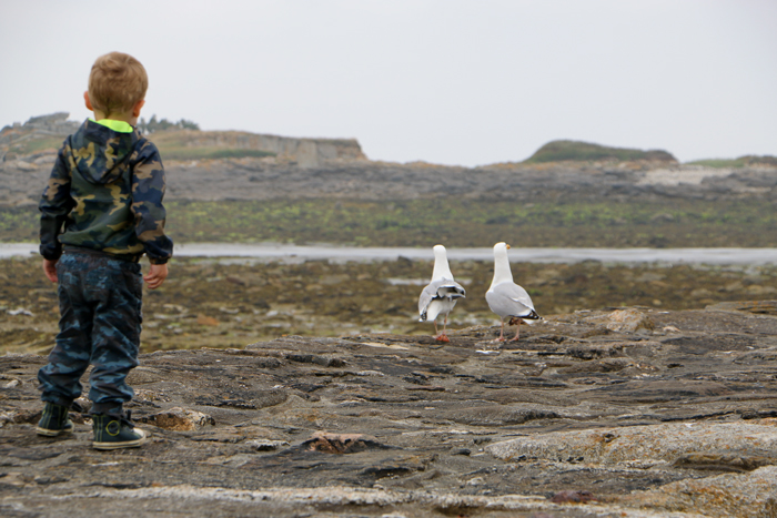 jour_31_vadrouille_bretagne_nadoo