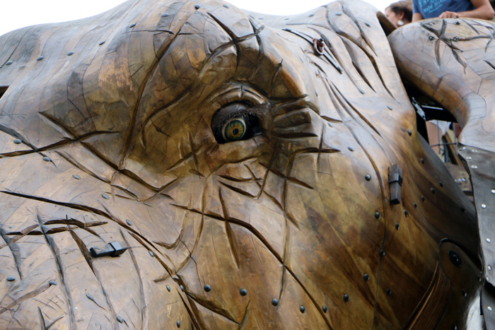 Elephant Machines de L'île