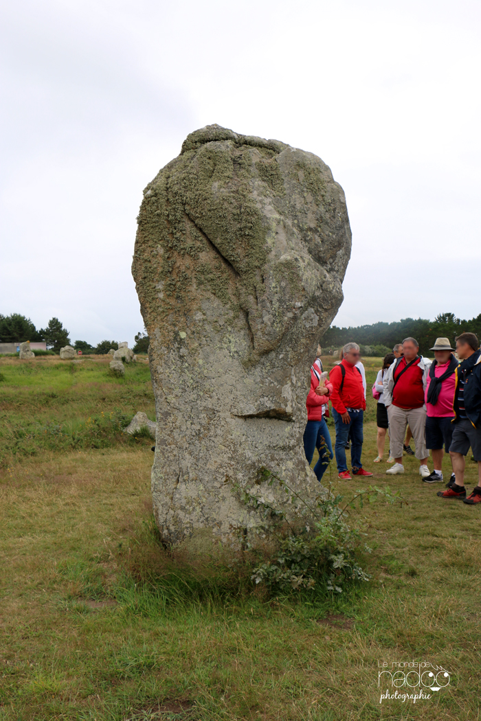 morbihan_nadoo_13