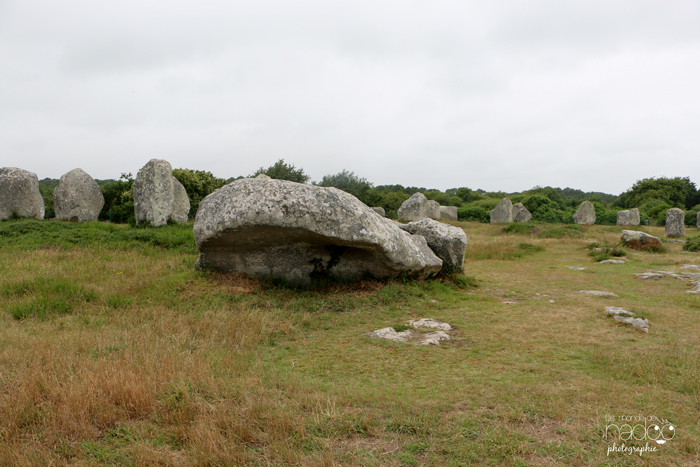 morbihan_nadoo_14