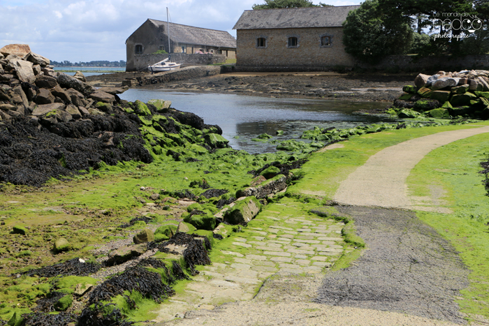 morbihan_nadoo_25