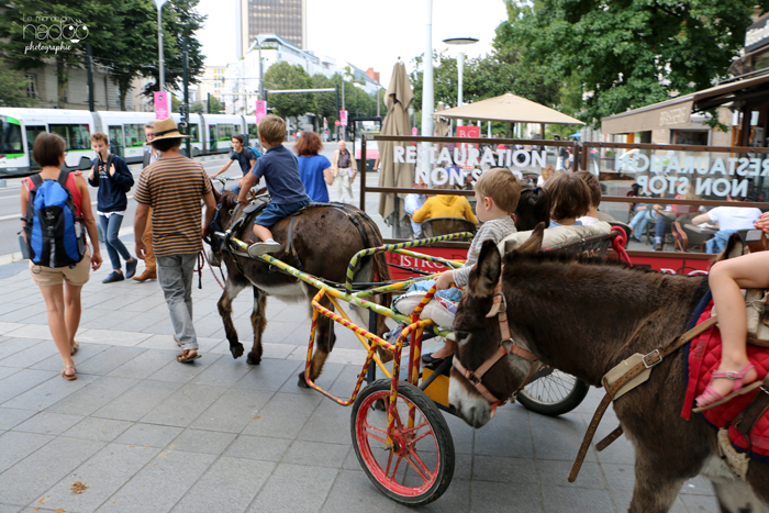 gouter_nantes_monde_de_nadoo_4